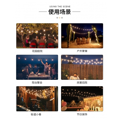 LED户外灯 - HCP103 S14圆头扁线灯串